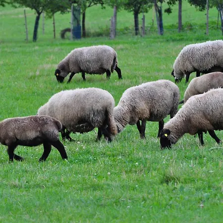 Ubytovani Pod Pustevnama Trojanovice