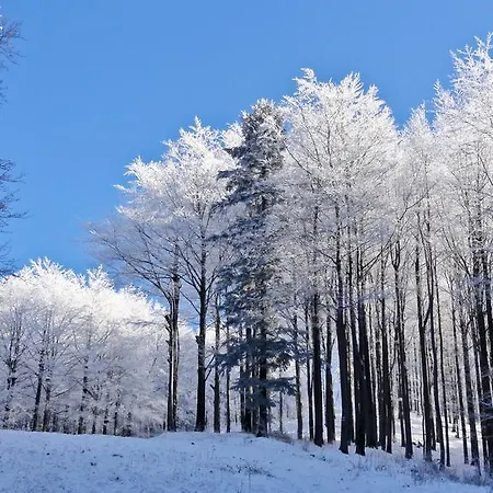 Ubytovani Pod Pustevnama * Trojanovice